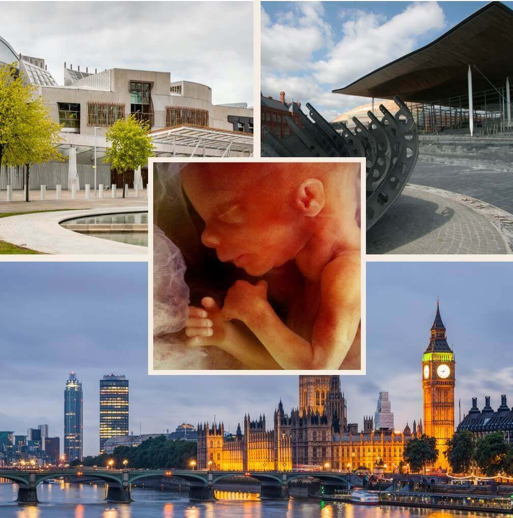 DIY Ask your MP to attend a parliamentary meeting to hear from experts on how DIY abortions are putting women at risk side