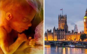 Press release – Foetal Sentience Committee Bill receives First Reading in the House of Lords 