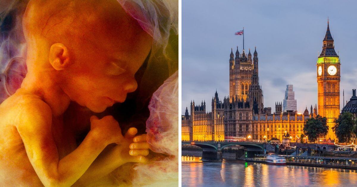 Press release - Foetal Sentience Committee Bill receives First Reading in the House of Lords